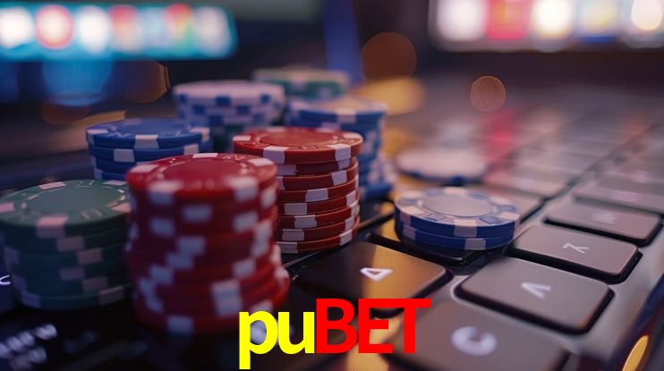 Experiência VIP pubet