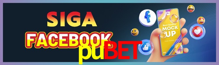 bet_pubet.com